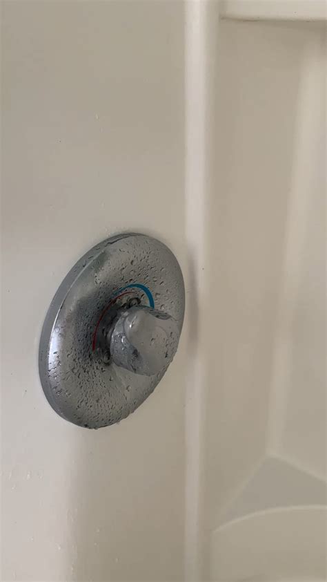 Shower Knob Squeaking