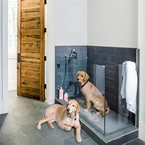 Shower Stall For Dogs