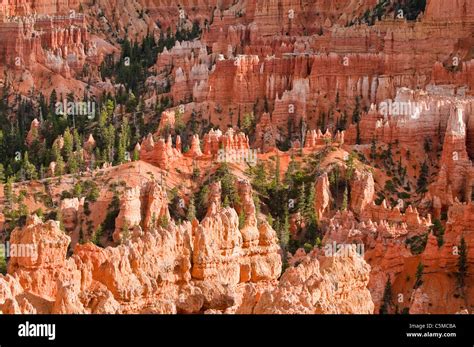 Showers At Bryce Canyon