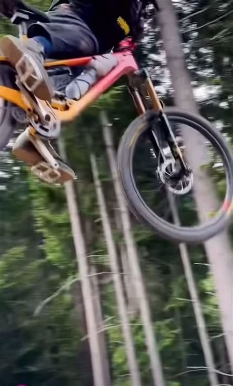 Shredders Digest Instagram