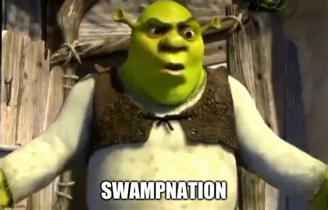 shrek in swamp meme