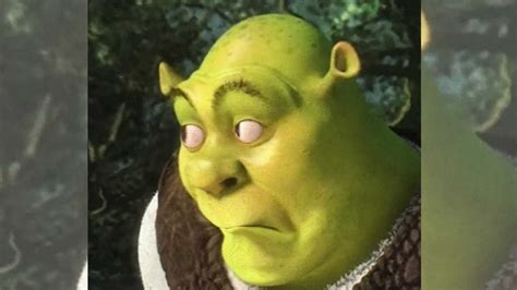 Shrek's, "and i oop," face😂😂😂 Самые смешные картинки, Смешные рожи