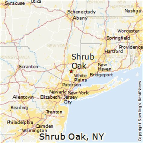 shrub oak ny