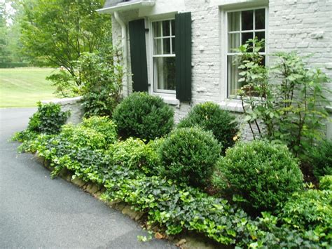 10+ Landscaping Shrubs For Front Of House