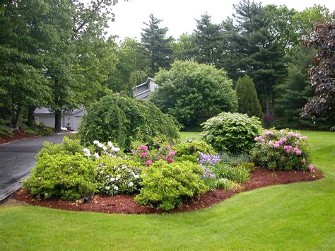 Shrubs Design Ideas