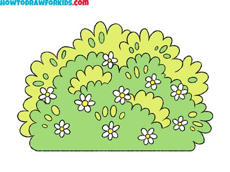 Shrubs Drawing Easy
