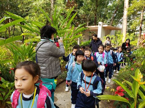 shun yeung primary school