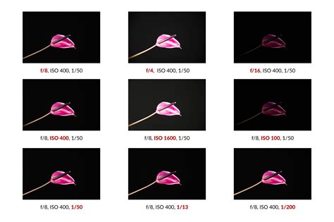 Shutter Speed When Using Flash