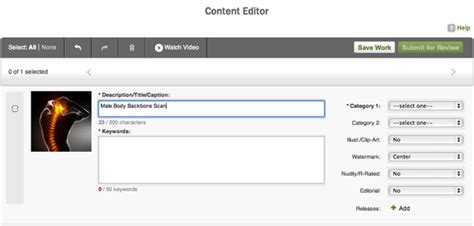 Shutterstock Description Examples