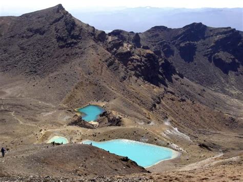 shuttle operators Tongariro Alpine Crossing