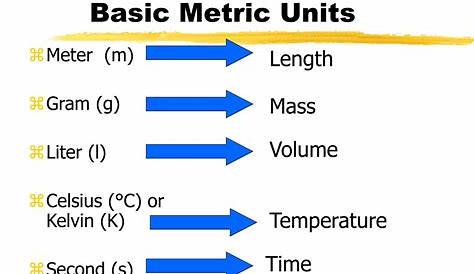 Metric System Review | Mastering Biology Quiz