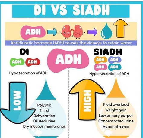 Difference Between Diabetes Insipidus and SIADH Difference Between