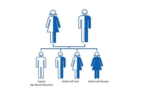 sickle cell trait blood type