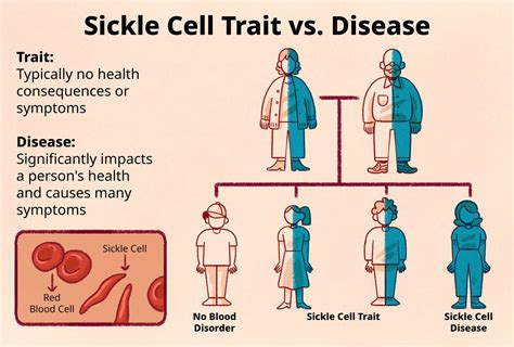 sickle cell trait symptoms