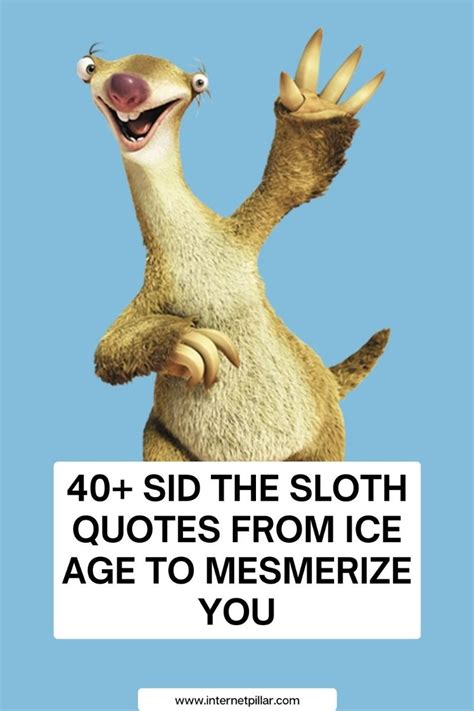 Image of Sid the Sloth looking wise