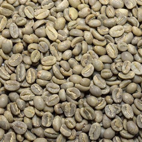 sidamo coffee beans