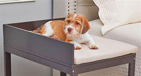 Side Beds For Dogs