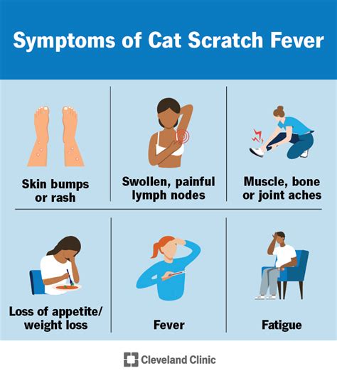 Side Effect Of Cat Scratch Fever