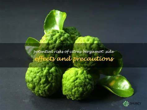side effects and precautions of bergamot