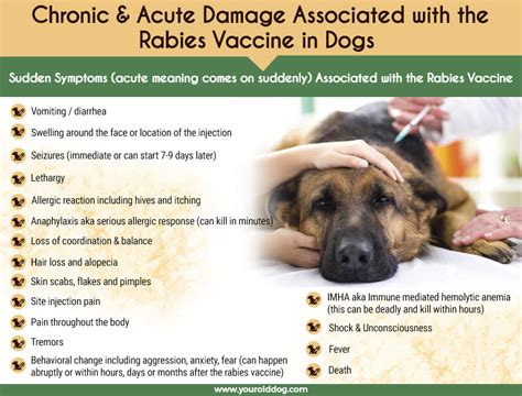 side effects of canine vaccines