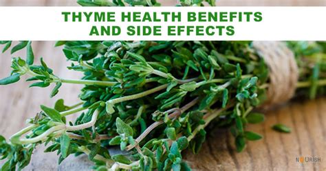 Side Effects Of Thyme Leaves