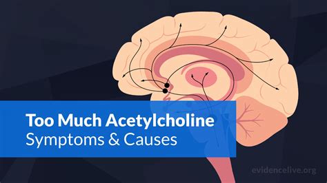 side effects of too much acetylcholine
