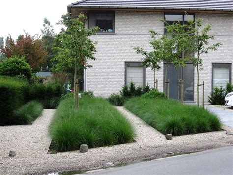 Siergras Tussen Grind