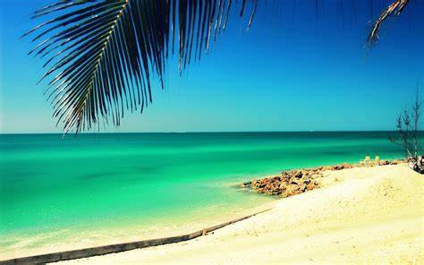 Siesta Key Beach Wallpaper WallpaperSafari