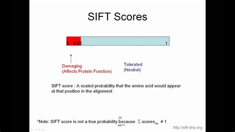 sift test score range
