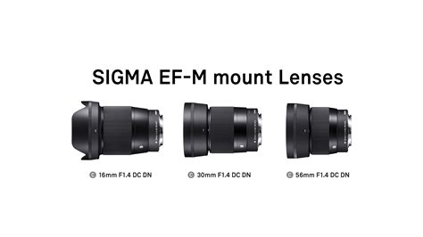 Sigma Ef M Lens