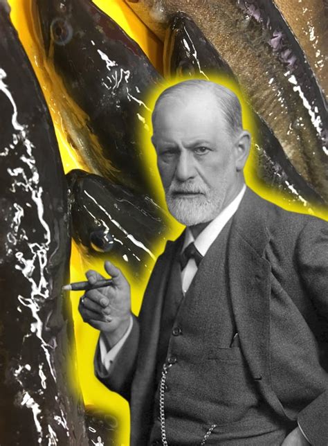 Sigmund Freud Eels