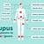 sign and symptom lupus