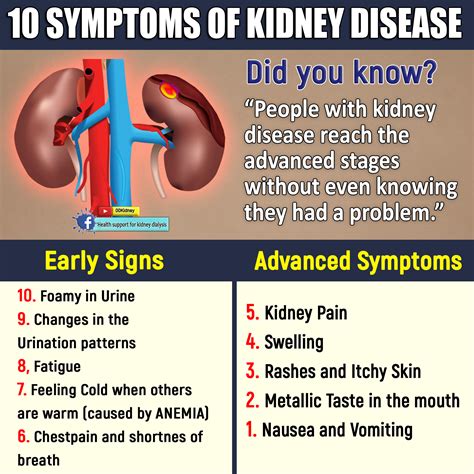 Kidney Disease Signs and Symptoms