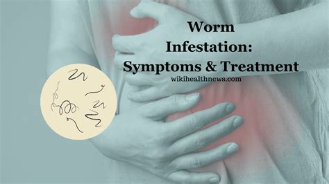 Signs Of Having A Tapeworm toxoplasmosis