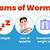 sign and symptoms of worm infestation