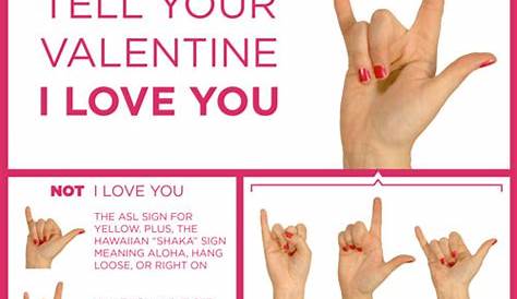 I Love You in ASL | Sign language phrases, Sign language lessons, Sign