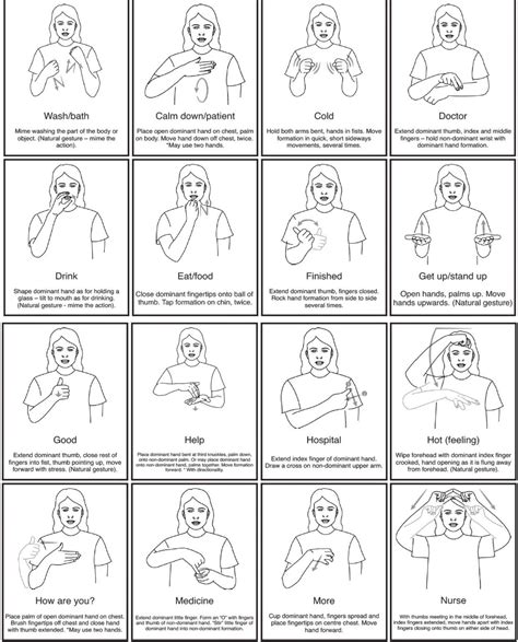 Sign Language Basics