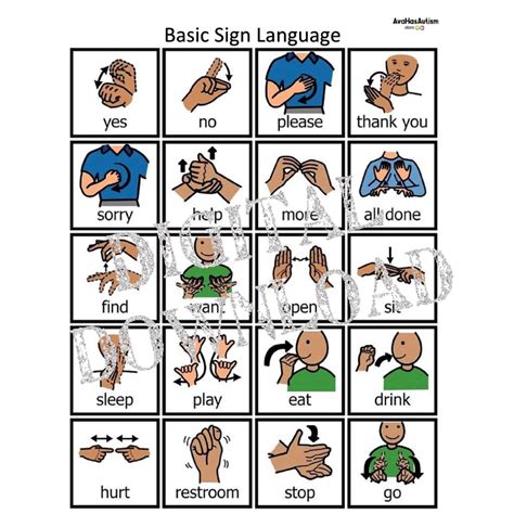Sign Language Basics Printable