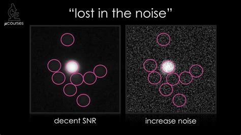 signal noise ratio imaging