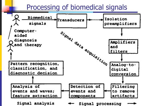 Signal Processing For Biomedical Applications