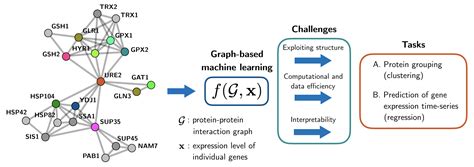 Signal Processing For Machine Learning Stanford