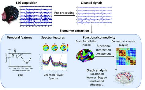 Signal Processing Of Eeg Data