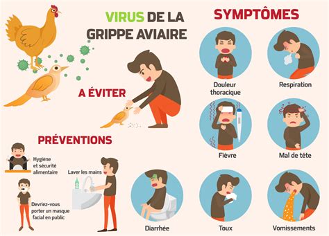 signes de la grippe aviaire