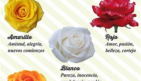 ASu: Significado de las rosas segun su color