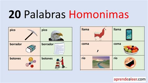 significado de las palabras homonimas