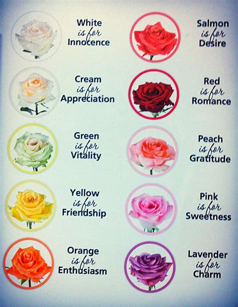 The Meaning of Rose Colors