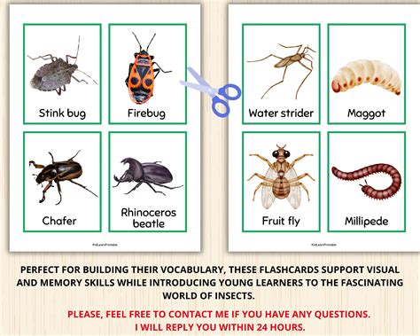 Signlanguage Bug Flashcards Printable