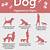 signs of dog aggression towards other dogs