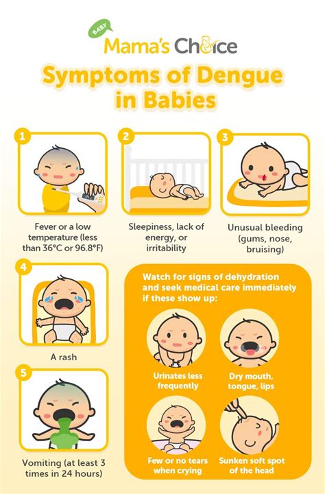 signs of dengue in baby