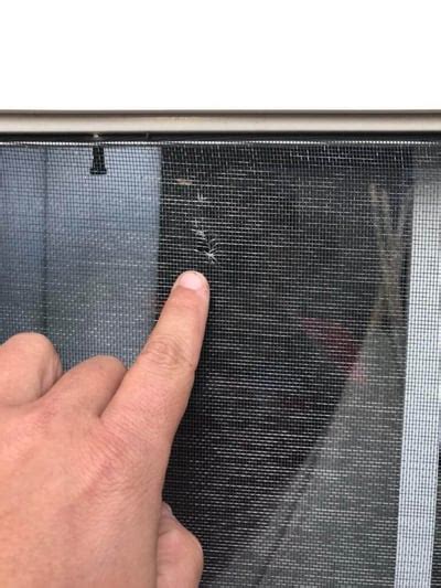 signs of window screen damage